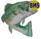 https://www.business-money-source.com/images/xBMS_Fish_Logo_67x65.jpg.pagespeed.ic.ndY93_Fy8W.jpg