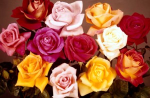 funeral home financing